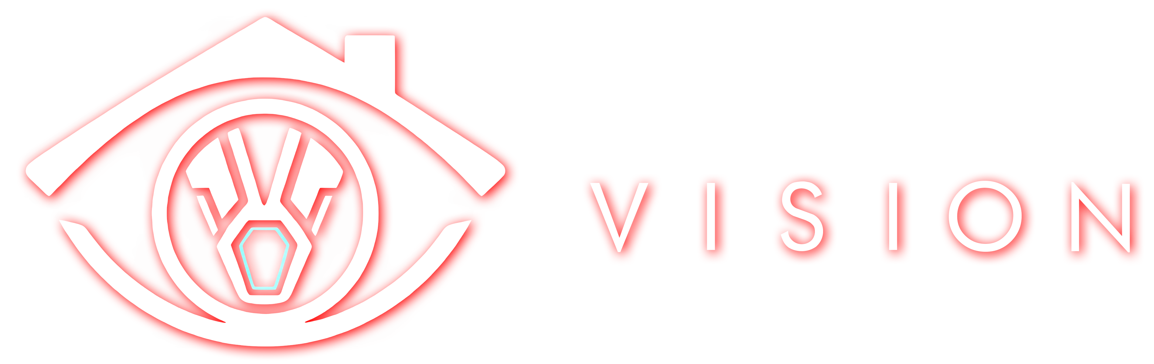 Vision IA